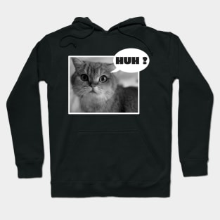 Huh Cat Meme Hoodie